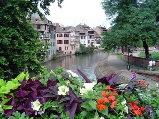 Strasbourg Wall Decal