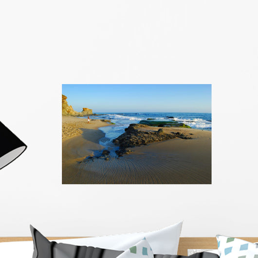 Laguna Beach California Wall Mural