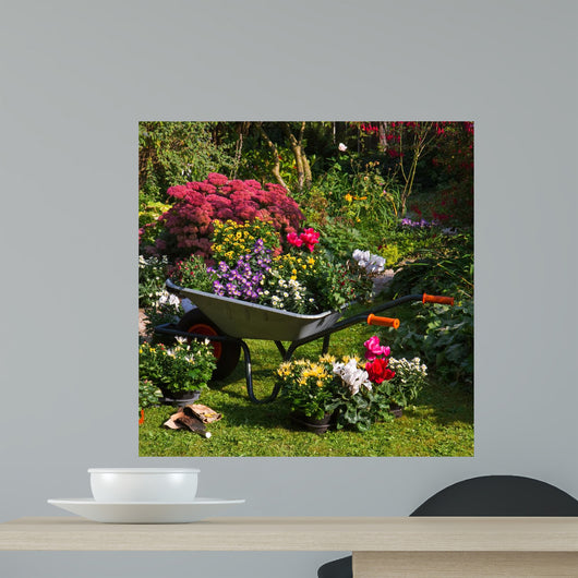Wheelbarrow and Trays with