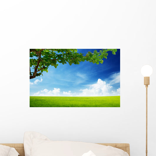 Field Grass and Perfect