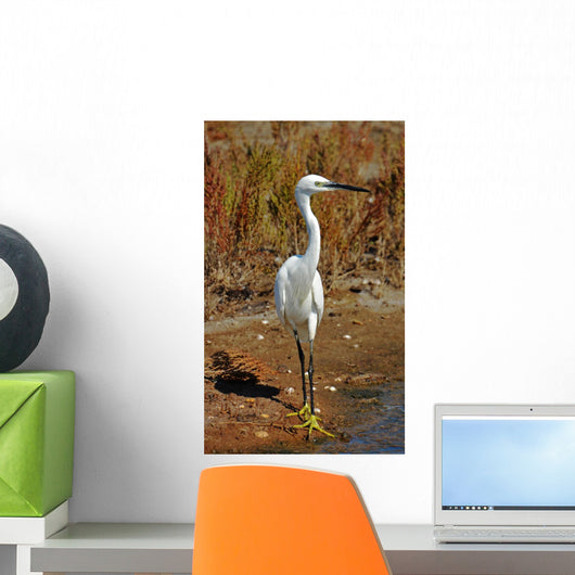 Portrait White Egret Marsh Wall Mural