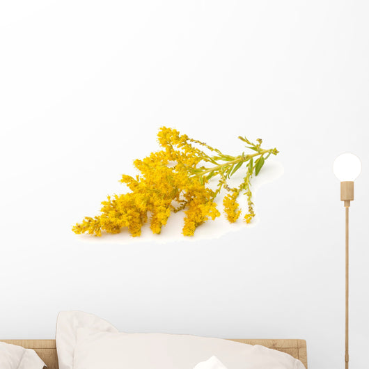 Goldenrod Wall Decal