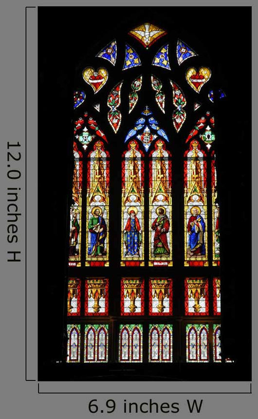 Window Notre Dame Cathedral