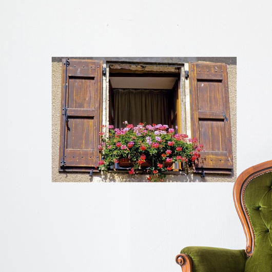 France Shutters Window Flowers