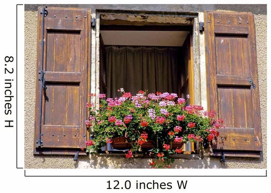 France Shutters Window Flowers