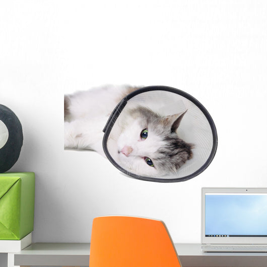 Cat Wearing Protective Elizabethan Wall Decal