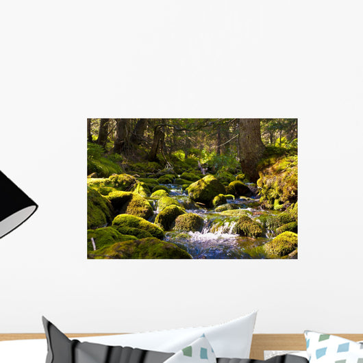 Rapid Stream through Forrest Wall Decal