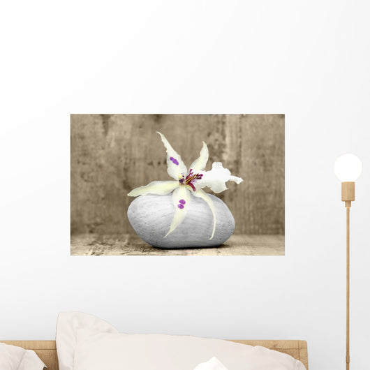 Zen Composition Wall Decal