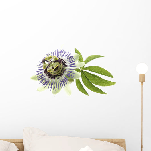 Passion Flower Medicinal Plant Wall Decal