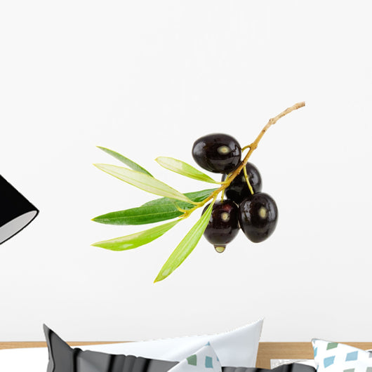 Olive Branch with Drop Wall Decal