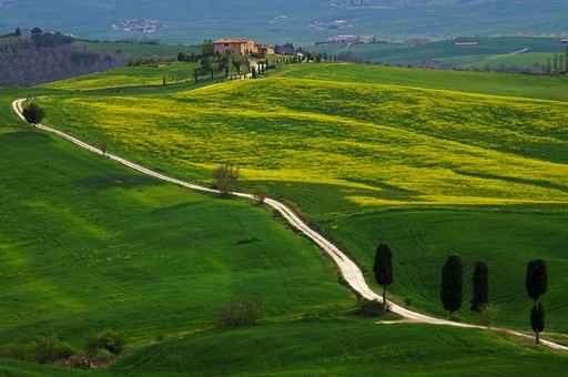Paesaggio Toscano Wall Decal