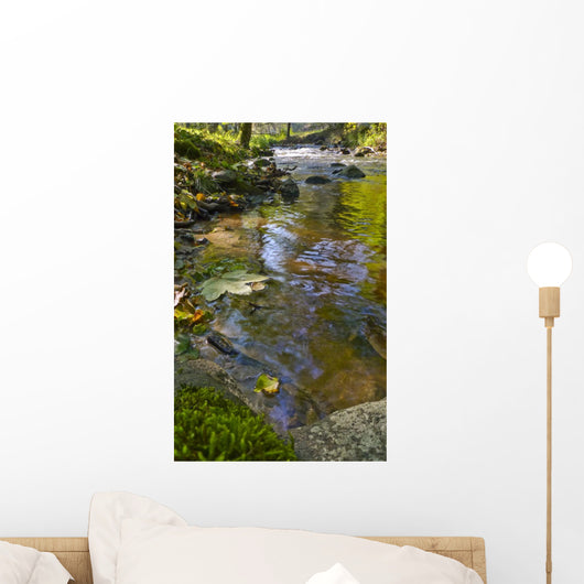 River with Fall Leaves Wall Decal