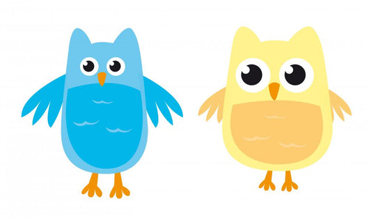 Owl S Wall Decal