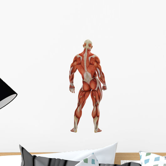 Muscle Man Back Side Wall Decal