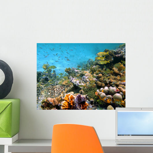 Green Sea Turtle Wall Decal