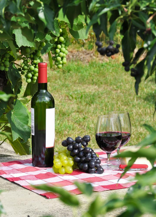 Red Wine and Grapes Wall Decal