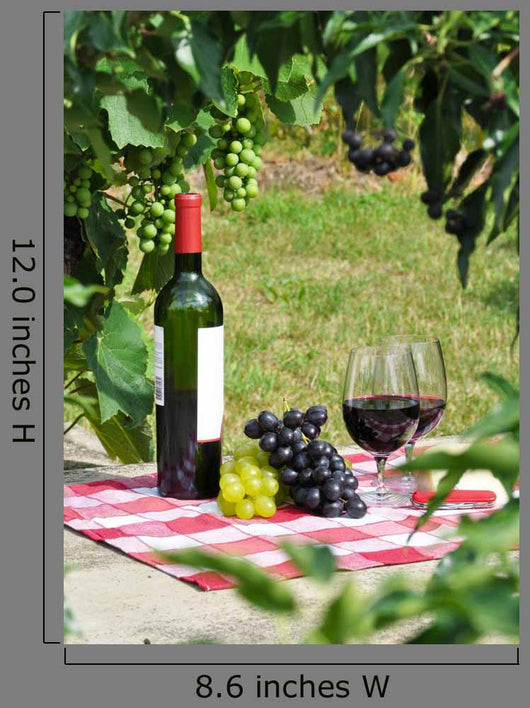Red Wine and Grapes Wall Decal