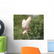 Barn Owl Wall Decal