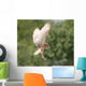 Barn Owl Wall Decal