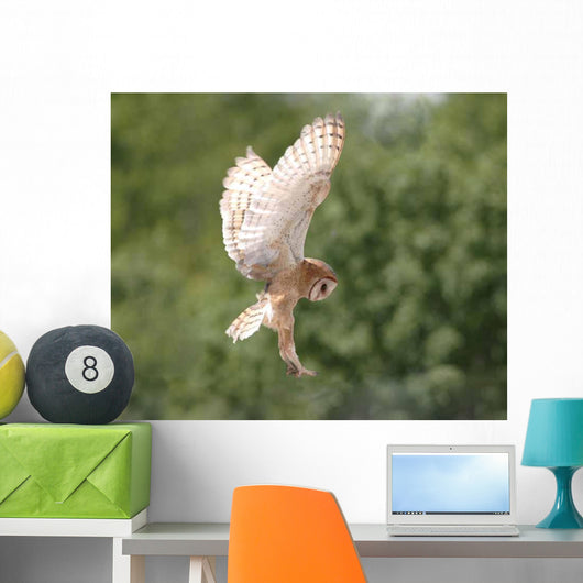 Barn Owl Wall Decal