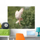 Barn Owl Wall Decal