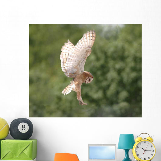 Barn Owl Wall Decal