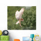 Barn Owl Wall Decal