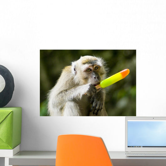 Monkey Eating Ice Cream Wall Decal
