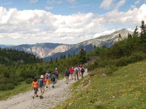 Hiking Trip Wall Decal