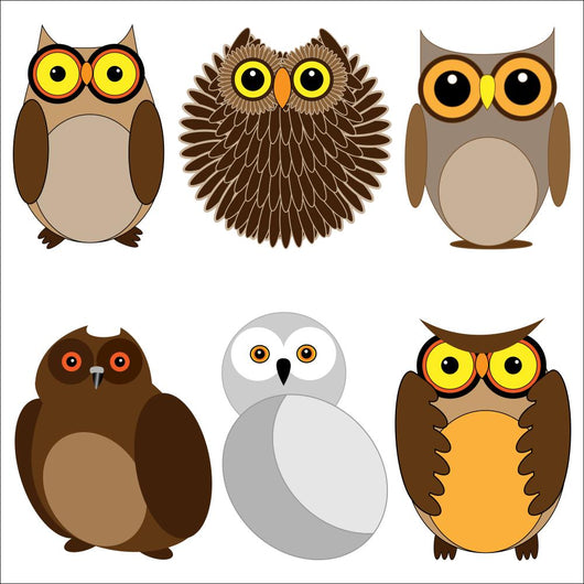 Set Different Owls Wall Stickers Wall Decal