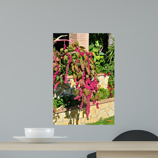 Cat Tail-amaranthus Caudatus Wall Decal