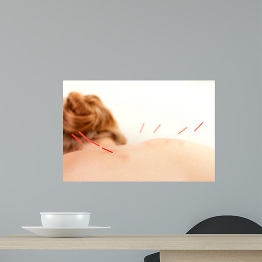 Acupuncture Back Shu Points Wall Decal