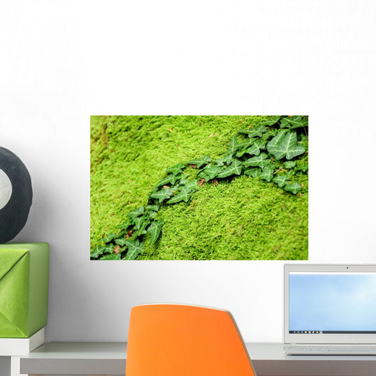 Ivy Growing Mossy Stone Wall Decal