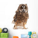 Long-eared Owl White Wall Decal