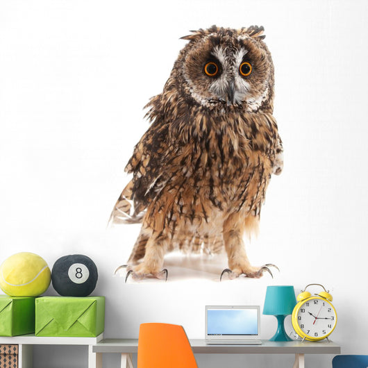 Long-eared Owl White Wall Decal