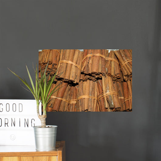 Cannella Wall Decal