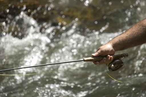 Angling River Wall Decal