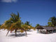 Caribbean Beach Bar - Horiztonal Wall Decal