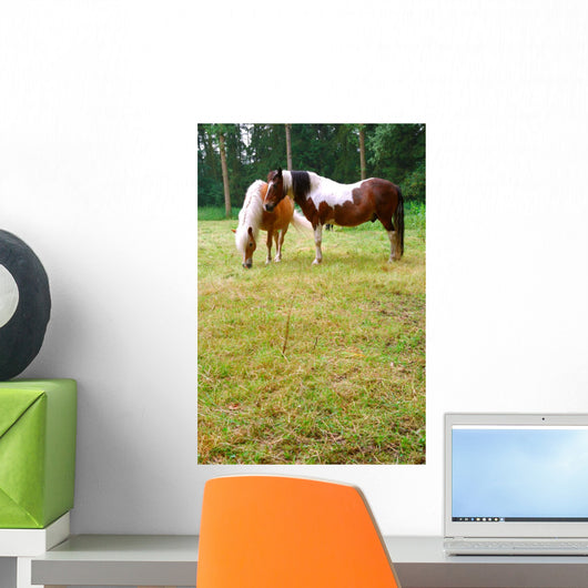 Rural Scene Belgium Horses Wall Decal