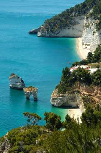 Gargano - Vertical Wall Decal
