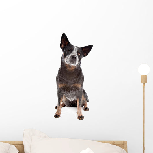 Australian Cattle Dog Wall Decal
