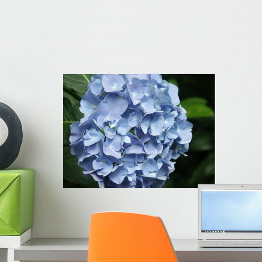 Blaue Hydrangea Bl Te Wall Decal