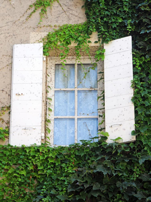 House Window with White Wall Decal