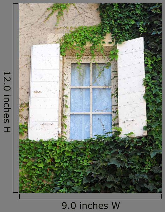 House Window with White Wall Decal