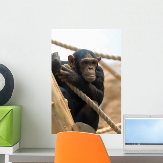 Monkey with Peach Wall Decal