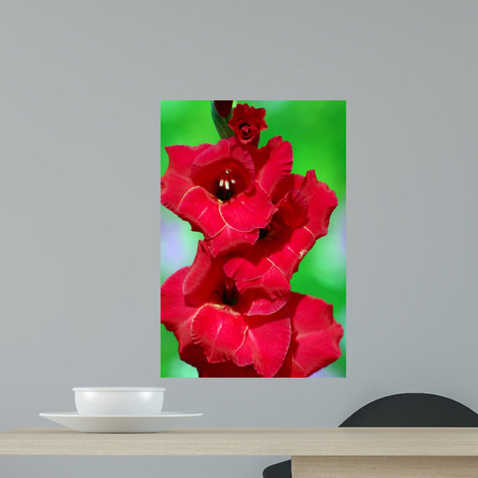Flower 2 Wall Decal