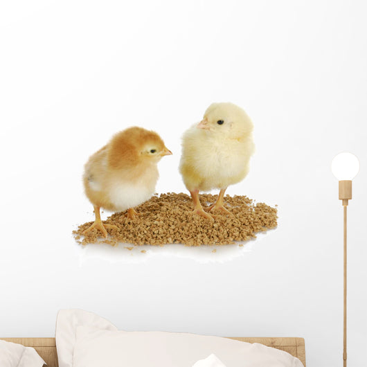Farm Poultry Wall Decal