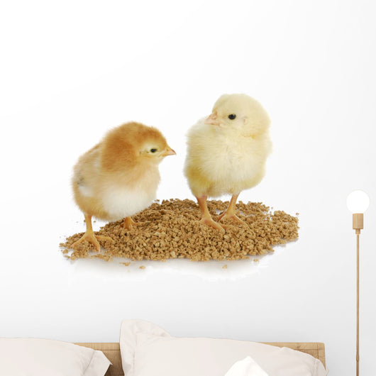 Farm Poultry Wall Decal
