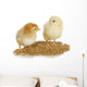 Farm Poultry Wall Decal