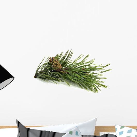 Pine Branch with Cones Wall Decal